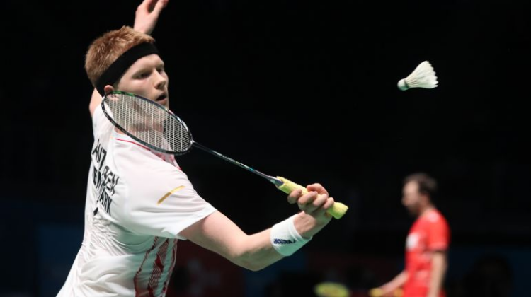 个人倾向 个人倾向