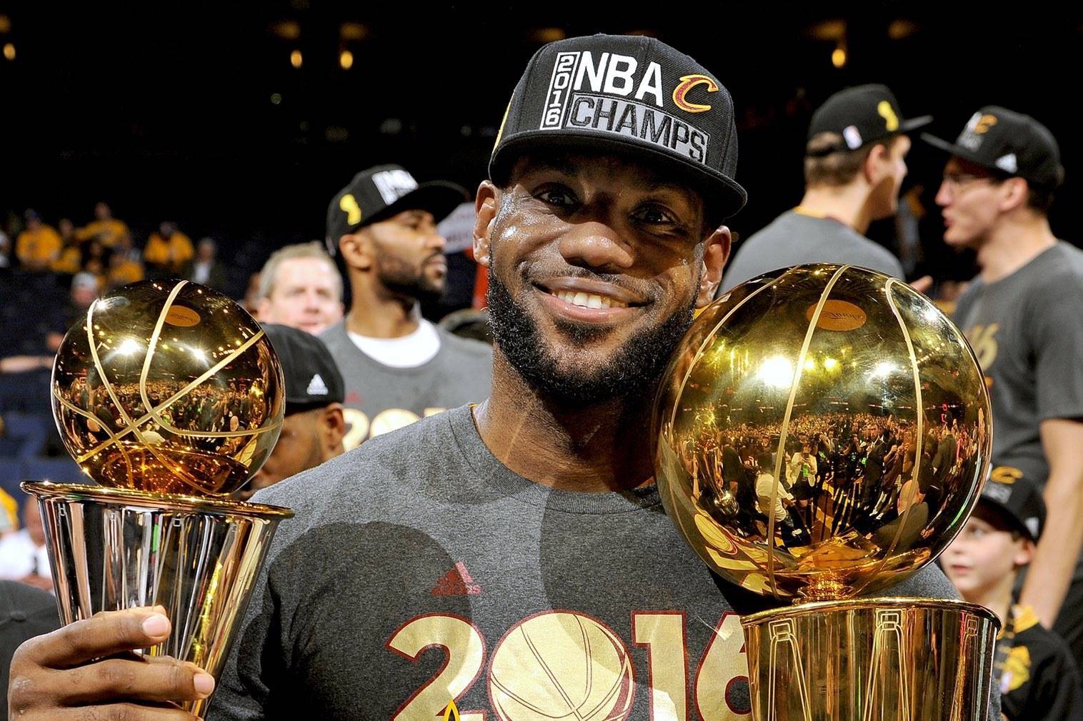 款中的免责 款中的免责