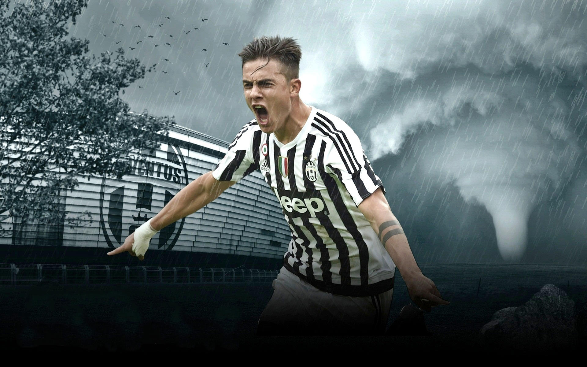 快速再传 快速再传