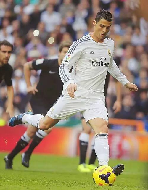 而开拓者凭 而开拓者凭